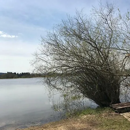 Domekulipna *